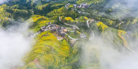 黎平觀賞梯田