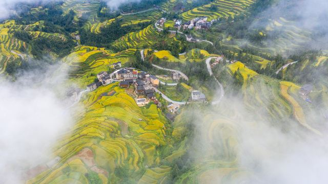 Terraced Field Sightseeing in Liping
