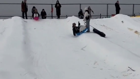 Snow Fox Ice and Snow Carnival