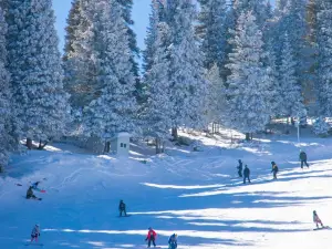 XINJIANG Funskiing Festival