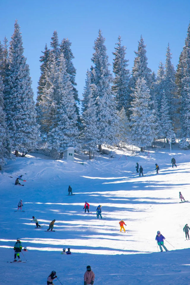 XINJIANG Funskiing Festival | Altay City