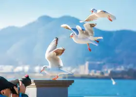 海埂公園
