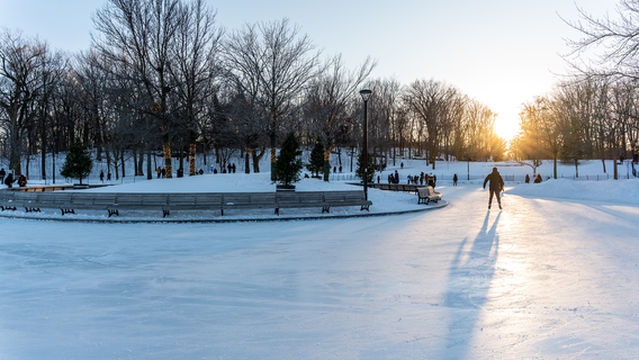 Patinoire de ROYALMOUNT