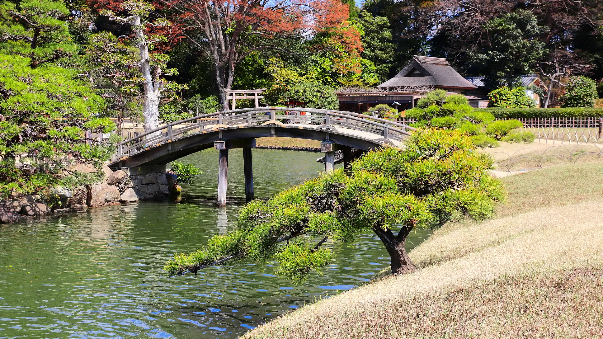 岡山後楽園周辺のホテル