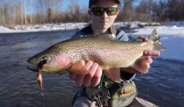 Montana Fishing Outfitters