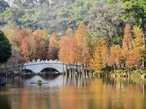 Yunluo Botanical Garden