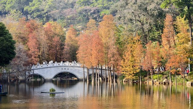 Yunluo Botanical Garden