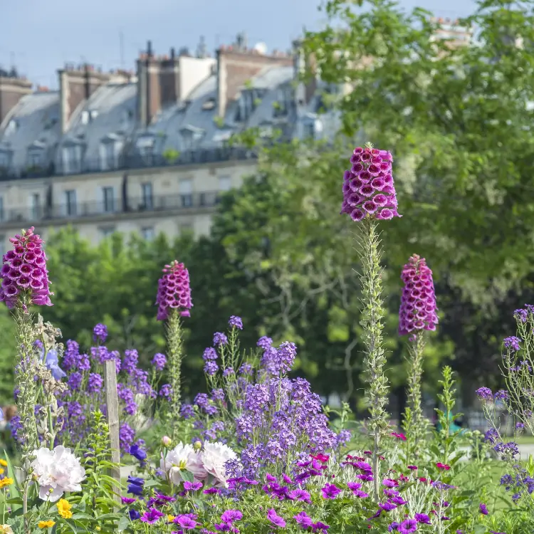 Top 20 Spring Outings in Paris