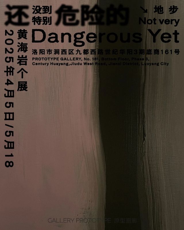 黃海岩個展《還沒到特別危險的地步》 | 洛陽
