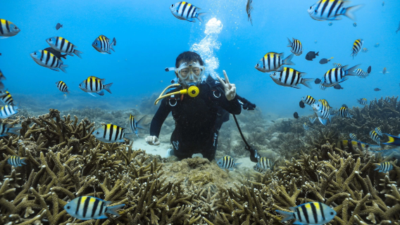 Shimeiwan Jiajing Island Diving Base