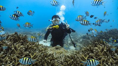 Shimeiwan Jiajing Island Diving Base