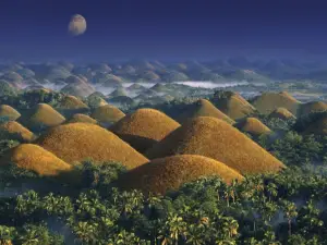 Top 20 Night Attractions in Philippines