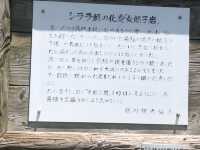 【女郎子岩】義経伝説も伝わる景勝地！
