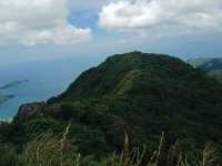 Truly out of this world’s parrot peak