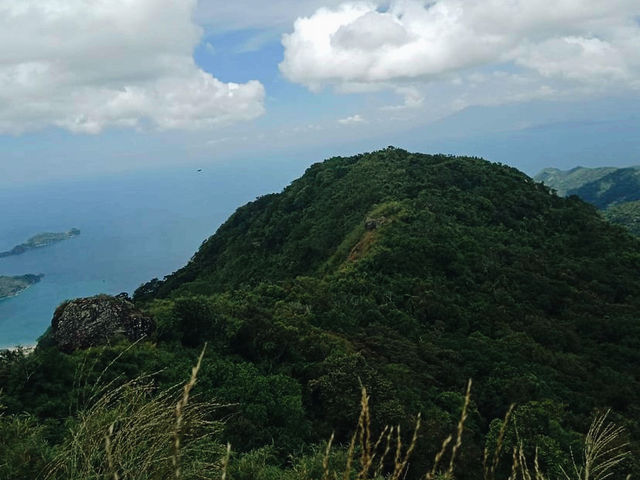 Truly out of this world’s parrot peak