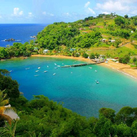 A Tobago Vacation What To See And Do

: