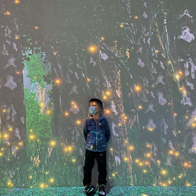【 夢想星球光影互動展｜拍出夢幻一刻 】