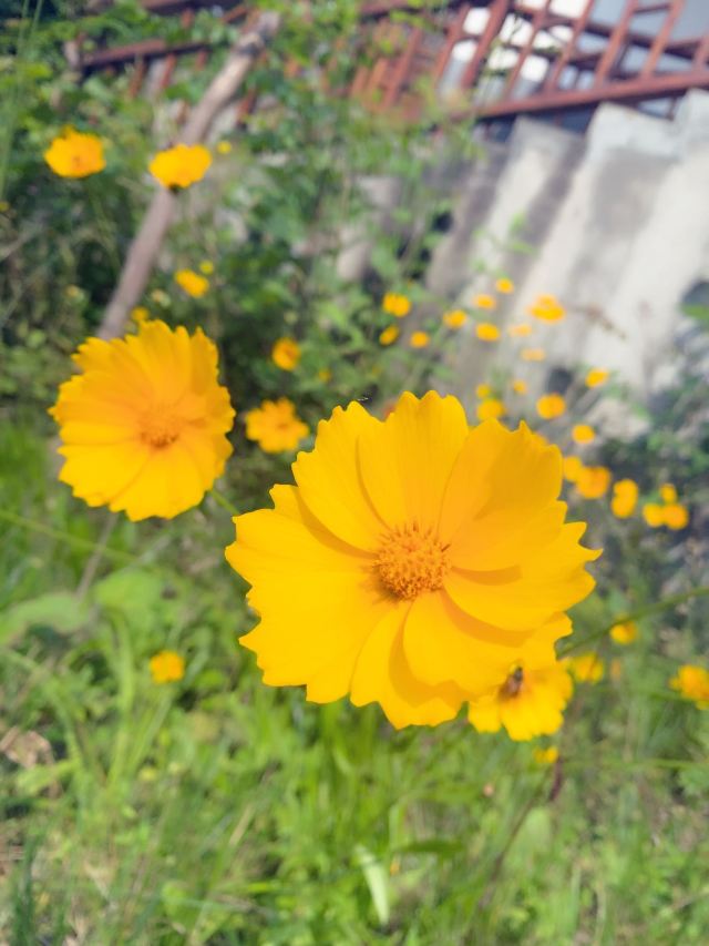 남보산