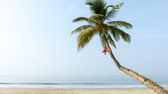 Goa Beaches