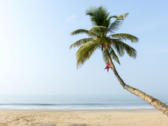 Goa Beaches