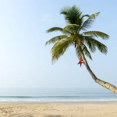 Отели рядом с достопримечательностью «Маджорда Бич»