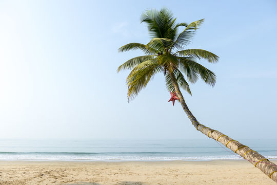 Goa Beaches