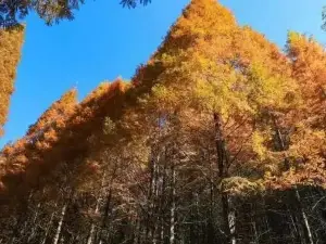 신농곡(션농구) 국가삼림공원