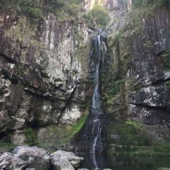 泰顺县泗水山庄 User Photo
