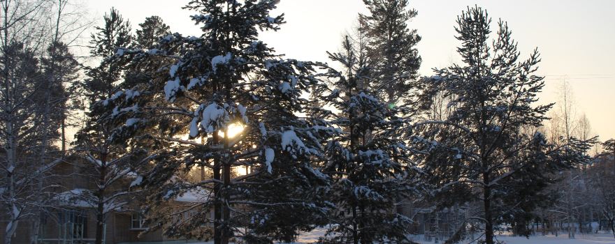 Snow Valley