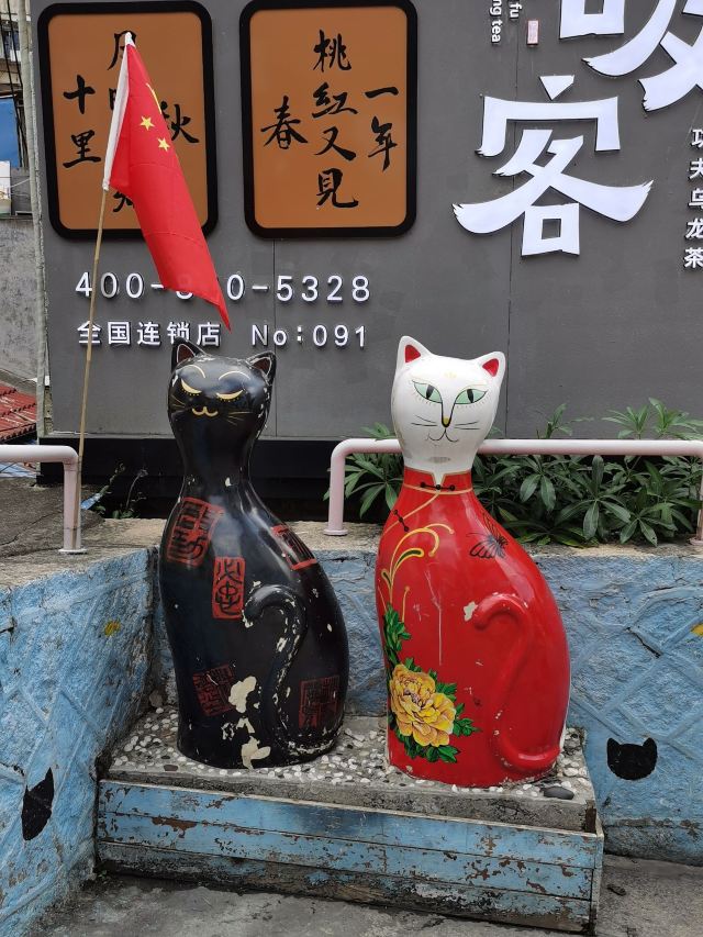 딩아오자이