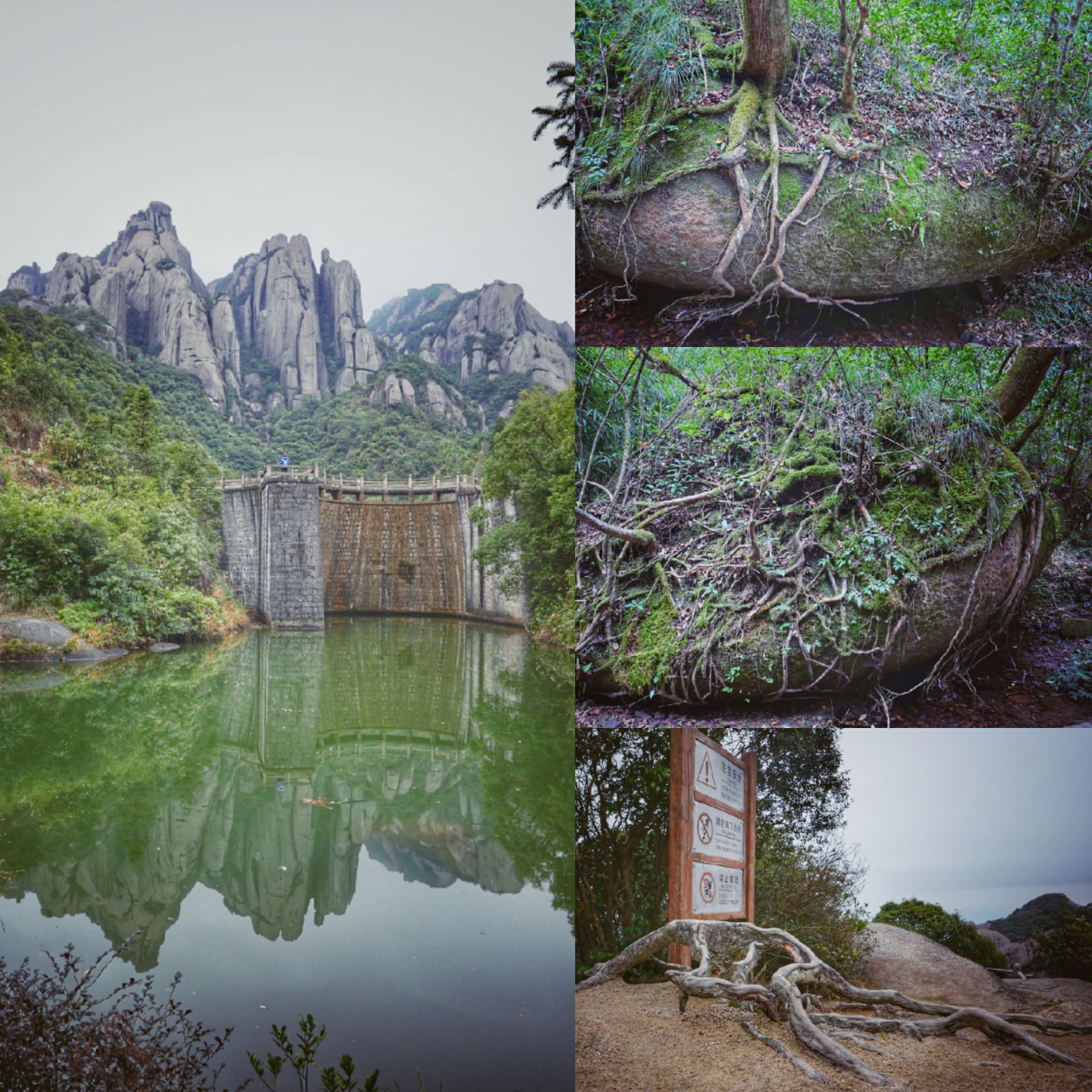 Taimu Mountain Travel Guidebook Must Visit Attractions In Fuding Taimu Mountain Nearby Recommendation Trip Com