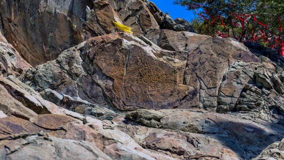 Monkey Head Portrait