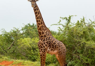 Lake Manyara National Park