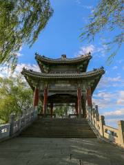 Summer Palace Dragon Pleasure Boat