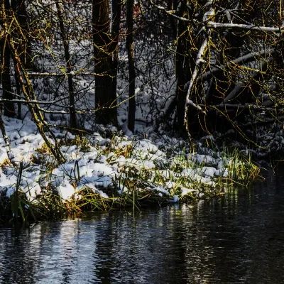 Astorian Grand Hotel