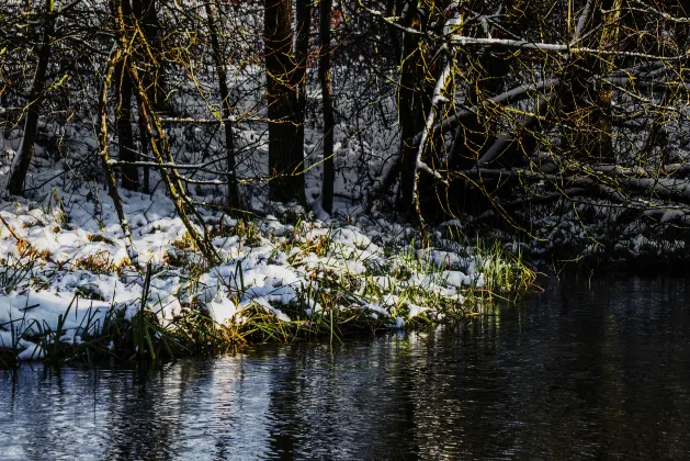 Хоумстей в г. Какамега