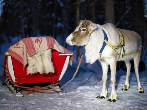 Ewenki Reindeer Park