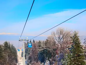 龍王滑雪公園