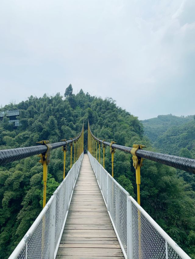 Bamboo Canyon Scenic Area (Jinji Valley)
