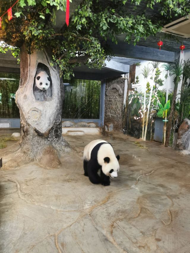 Hainan Tropical Wildlife Park