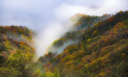 Shennongjia Tourism Area