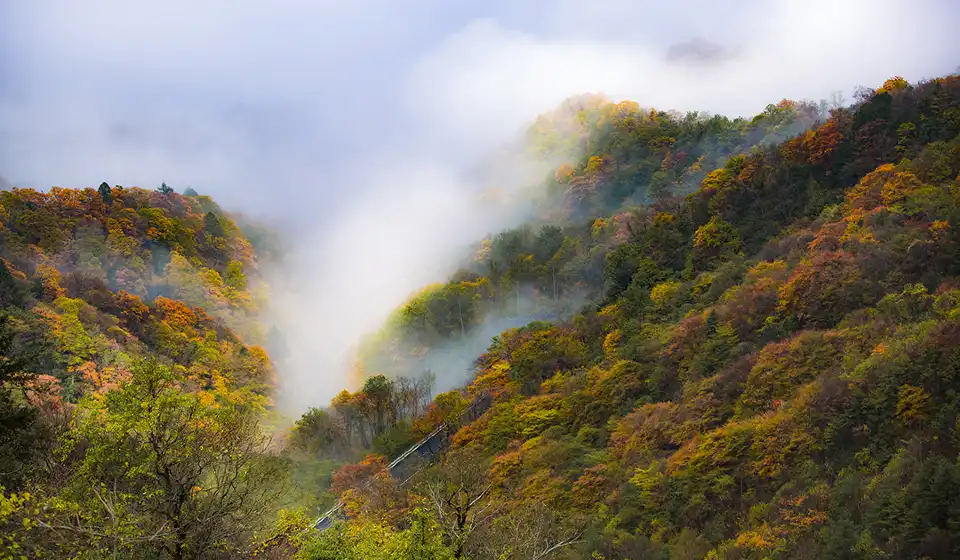 5_Shennongjia Tourism Area