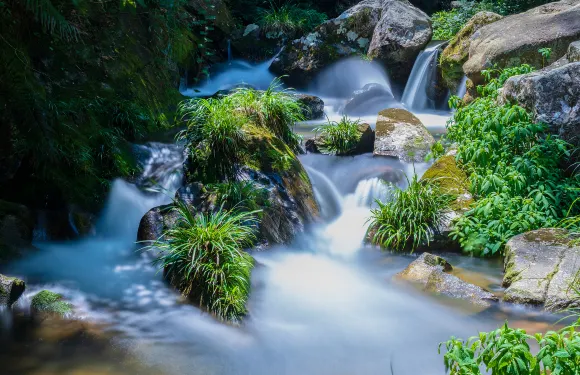 龍王潭生態旅遊區門票成人