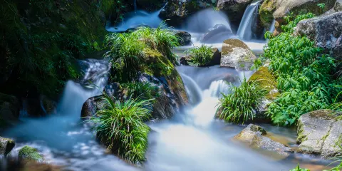 龍王潭生態旅遊區