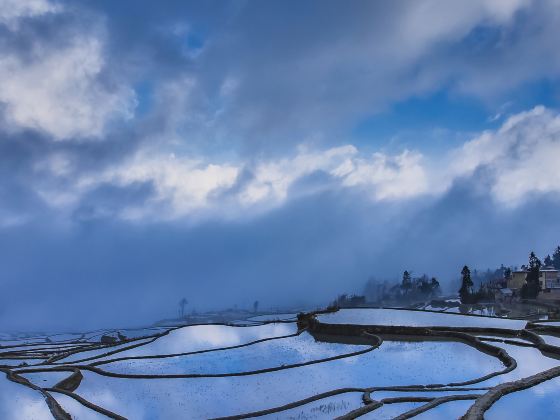 Aichunlan Terraced Field