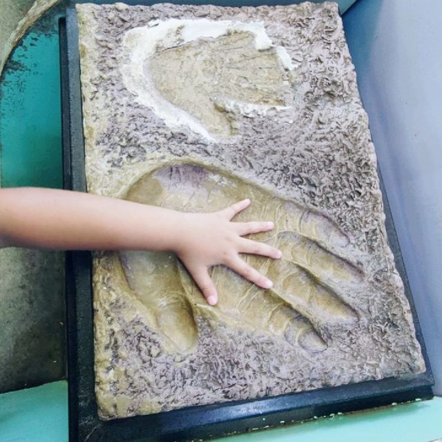 FREE Entrance @ Shanghai Zoo this Summer