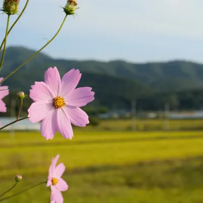 永同郡の3つ星ホテル