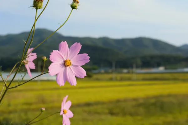 Gunsan King Motel