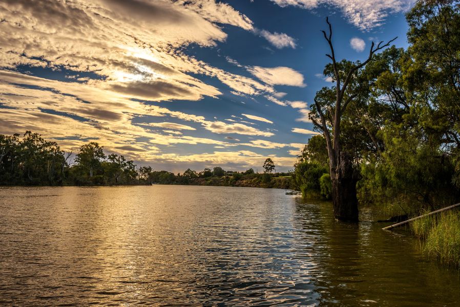 Newcastle to Mildura Flights