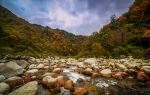 Tangjia River Nature Reserve